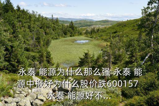  永泰 能源為什么那么強 永泰 能源中報好為什么股價跌600157 永泰 能源好不...