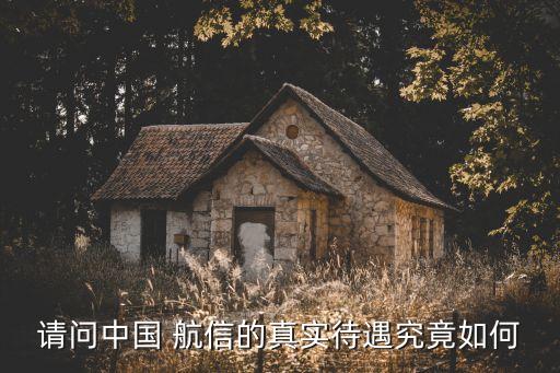 請(qǐng)問中國 航信的真實(shí)待遇究竟如何