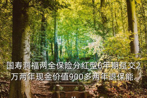 國壽鴻福兩全保險分紅型6年期躉交2萬兩年現(xiàn)金價值900多兩年退保能...