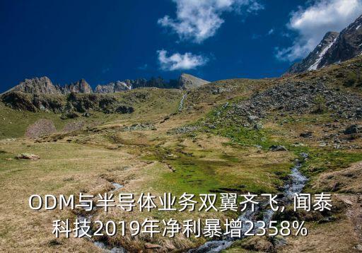 ODM與半導體業(yè)務雙翼齊飛, 聞泰科技2019年凈利暴增2358%