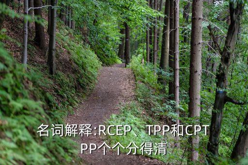 名詞解釋:RCEP、TPP和CPTPP個(gè)個(gè)分得清