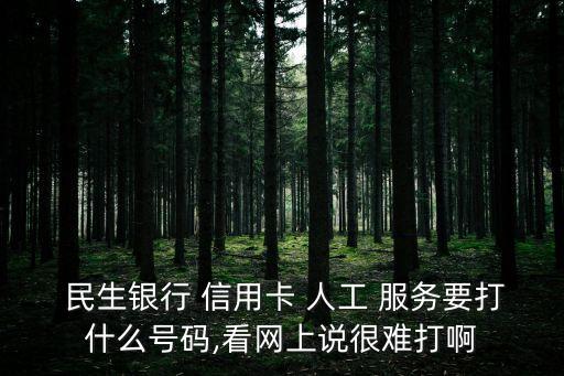  民生銀行 信用卡 人工 服務(wù)要打什么號碼,看網(wǎng)上說很難打啊