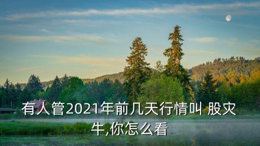 有人管2021年前幾天行情叫 股災(zāi)牛,你怎么看