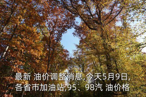 最新 油價(jià)調(diào)整消息,今天5月9日,各省市加油站,95、98汽 油價(jià)格