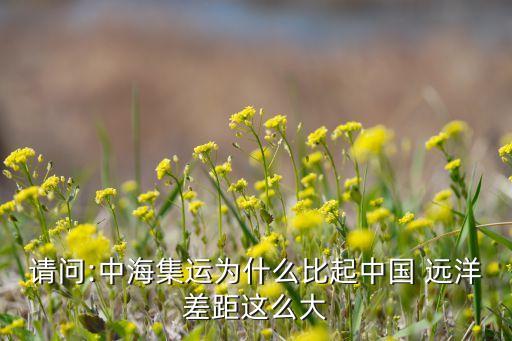 請(qǐng)問(wèn):中海集運(yùn)為什么比起中國(guó) 遠(yuǎn)洋差距這么大