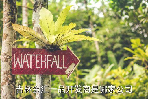 吉林金匯一品開(kāi)發(fā)商是哪家公司