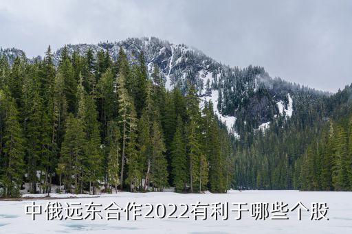 中俄遠東合作2022有利于哪些個股