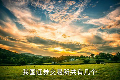 我國(guó)證券交易所共有幾個(gè)