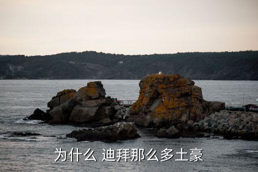 迪拜到上海原油海運(yùn)費(fèi),上海到迪拜海運(yùn)費(fèi)查詢(xún)