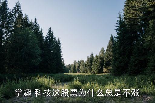 掌趣 科技這股票為什么總是不漲