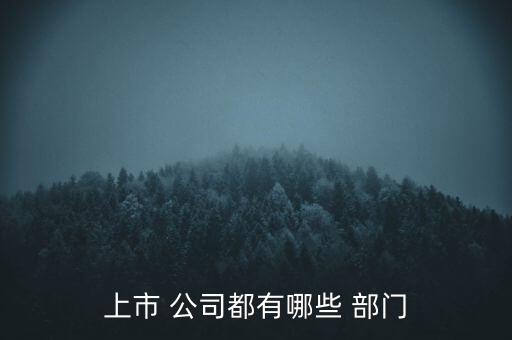 個人成立股票公司要什么部門