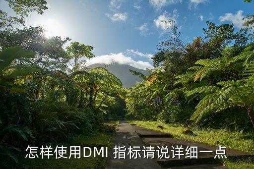 怎樣使用DMI 指標請說詳細一點