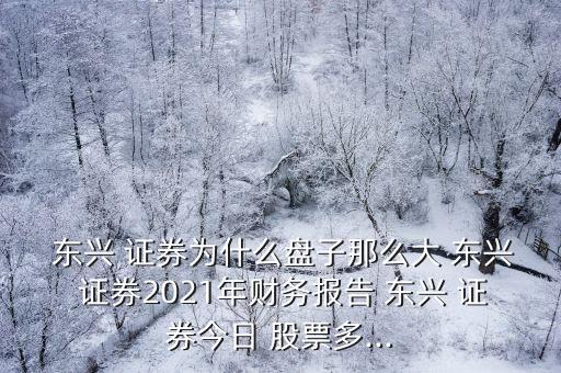  東興 證券為什么盤子那么大 東興 證券2021年財務報告 東興 證券今日 股票多...