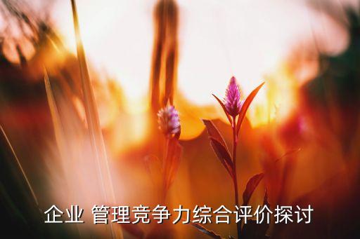 企業(yè) 管理競爭力綜合評價探討