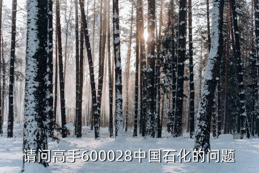 請(qǐng)問高手600028中國(guó)石化的問題