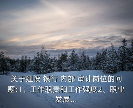 關于建設 銀行 內(nèi)部 審計崗位的問題:1、工作職責和工作強度2、職業(yè)發(fā)展...