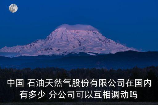 中國 石油天然氣股份有限公司在國內(nèi)有多少 分公司可以互相調(diào)動嗎