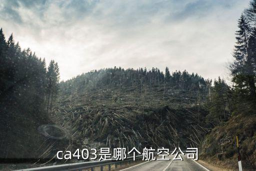 ca403是哪個航空公司