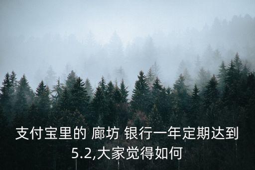 支付寶里的 廊坊 銀行一年定期達(dá)到5.2,大家覺得如何