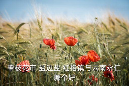 攀枝花市 鹽邊鹽 紅格鎮(zhèn)與云南永仁哪個好