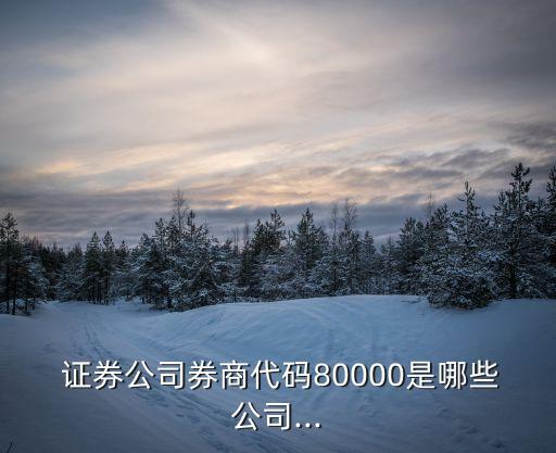  證券公司券商代碼80000是哪些公司...