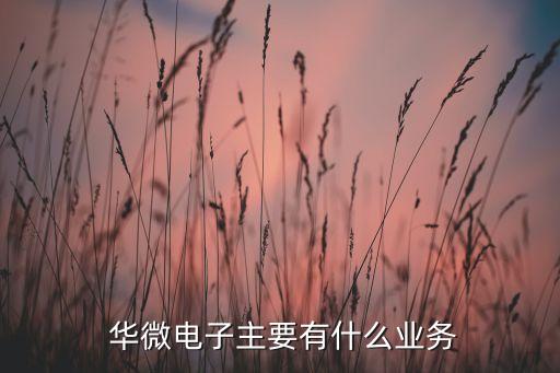  華微電子主要有什么業(yè)務(wù)