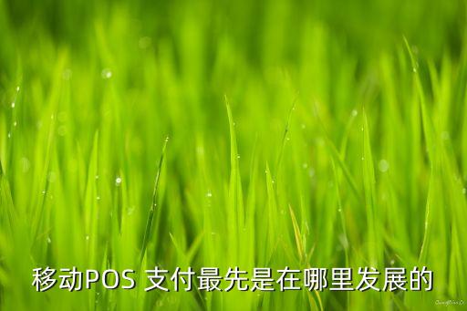 移動POS 支付最先是在哪里發(fā)展的