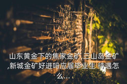  山東黃金下的焦家金礦,三山島金礦,新城金礦好進嗎應(yīng)屆畢業(yè)生 待遇怎么...