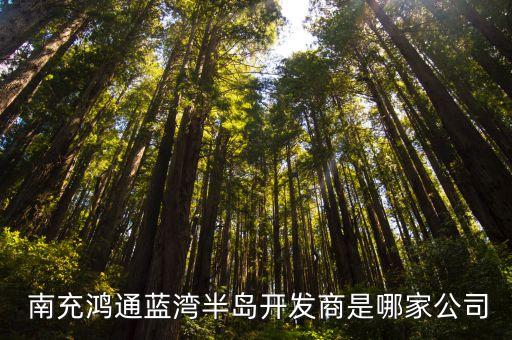  南充鴻通藍灣半島開發(fā)商是哪家公司