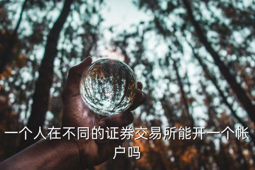 一個(gè)人在不同的證券交易所能開(kāi)一個(gè)帳戶嗎