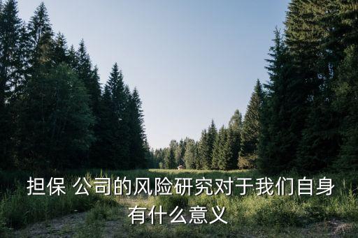  擔(dān)保 公司的風(fēng)險(xiǎn)研究對于我們自身有什么意義