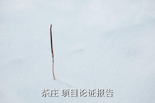 茶莊 項(xiàng)目論證報(bào)告