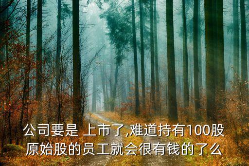 公司要是 上市了,難道持有100股原始股的員工就會很有錢的了么