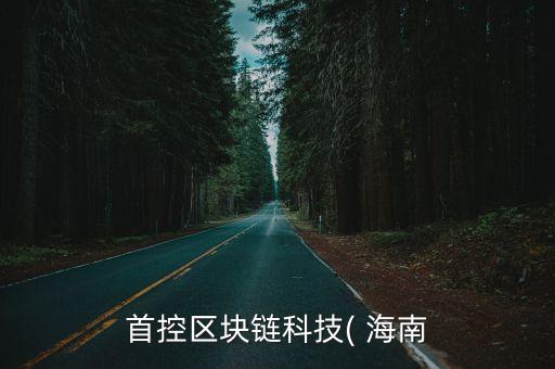 首控區(qū)塊鏈科技( 海南