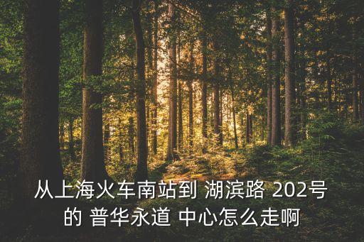 從上?；疖嚹险镜?湖濱路 202號的 普華永道 中心怎么走啊