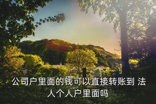  公司戶里面的錢可以直接轉(zhuǎn)賬到 法人個(gè)人戶里面嗎