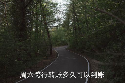 周六跨行轉(zhuǎn)賬多久可以到賬