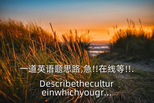 一道英語(yǔ)題思路,急!!在線(xiàn)等!!.Describethecultureinwhichyougr...