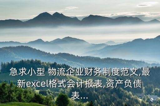 急求小型 物流企業(yè)財務(wù)制度范文,最新excel格式會計報表,資產(chǎn)負(fù)債表...