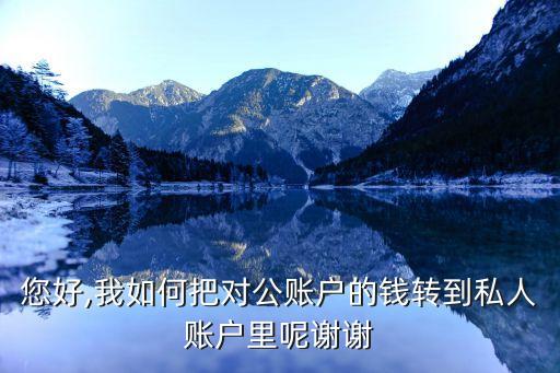 您好,我如何把對(duì)公賬戶的錢(qián)轉(zhuǎn)到私人賬戶里呢謝謝