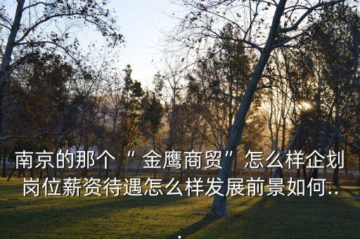 南京的那個“ 金鷹商貿(mào)”怎么樣企劃崗位薪資待遇怎么樣發(fā)展前景如何...