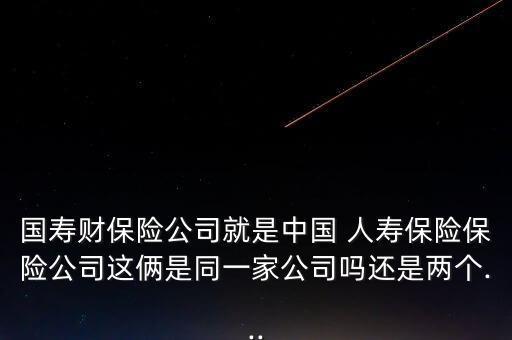 國壽財保險公司就是中國 人壽保險保險公司這倆是同一家公司嗎還是兩個...