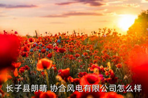 長(zhǎng)子縣朗晴 協(xié)合風(fēng)電有限公司怎么樣