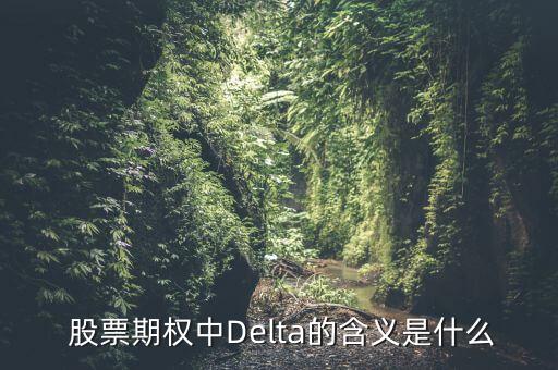  股票期權(quán)中Delta的含義是什么