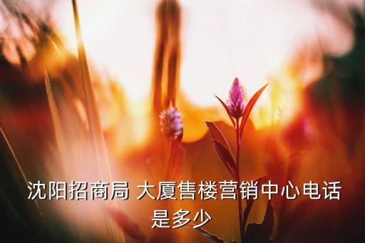 沈陽昌鑫大廈擔保公司,沈陽青年大街昌鑫大廈