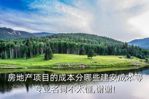  房地產(chǎn)項(xiàng)目的成本分哪些建安成本等專業(yè)名詞不太懂,謝謝!