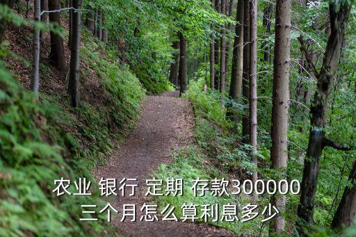 農(nóng)業(yè) 銀行 定期 存款300000 三個月怎么算利息多少