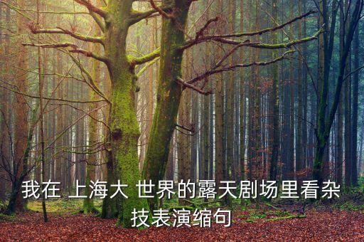 我在 上海大 世界的露天劇場(chǎng)里看雜技表演縮句