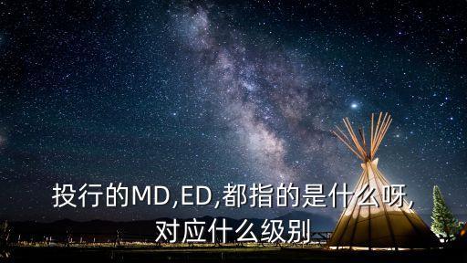 投行的MD,ED,都指的是什么呀,對(duì)應(yīng)什么級(jí)別