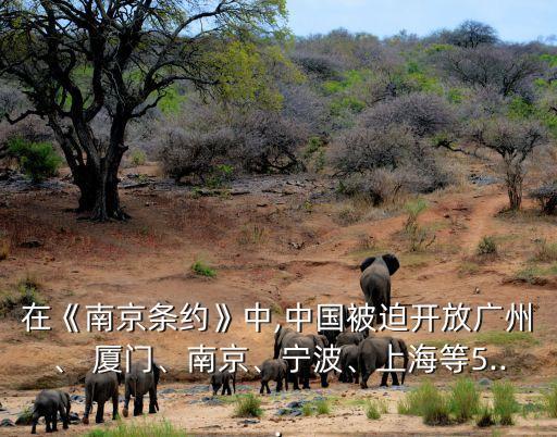 在《南京條約》中,中國被迫開放廣州、 廈門、南京、寧波、上海等5...